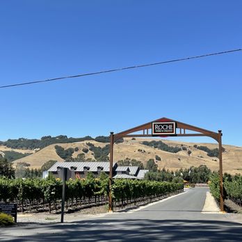 Roche Winery & Vineyards - The drive in - Wineries Near Me - Sonoma, California