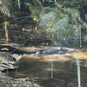 Palm Beach Zoo - Zoos Near Me - West Palm Beach, Florida