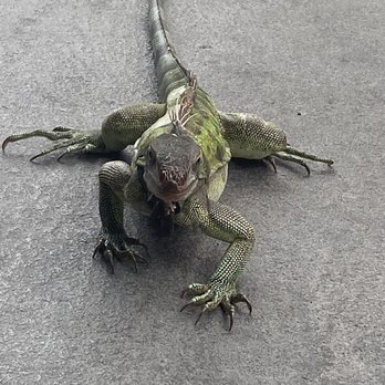 Hook'd USVI - New American Near Me - Red Hook, Virgin Islands