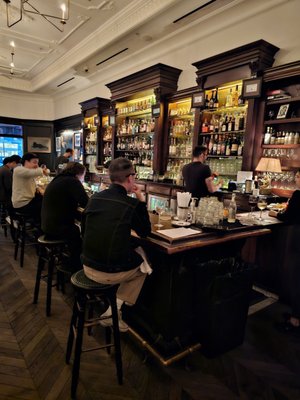 The Black Cat by null The Black Cat by null