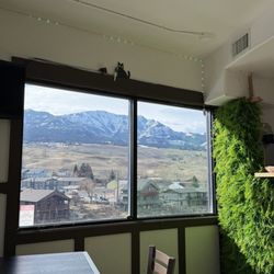The Spot by Tacocat - Views!!