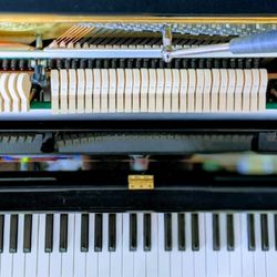 Cameron Johnson Piano Tuning - Piano keys and Action
