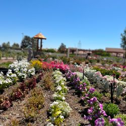 Rose Creek Farm