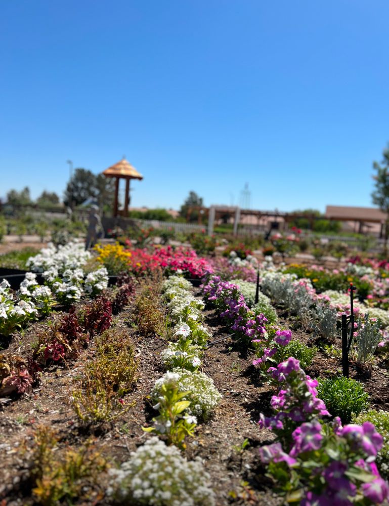 Rose Creek Farm - social services organization in Las Vegas, NV