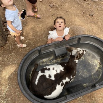 Bearizona - Zoos Near Me - Williams, Arizona