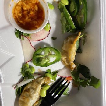 Ba Chi Kitchen And Bar - Awesome, half-eaten Crispy Pork Gyoza - Vietnamese Near Me - Metairie, Louisiana