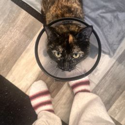 Mochi with her cone Mochi with her cone