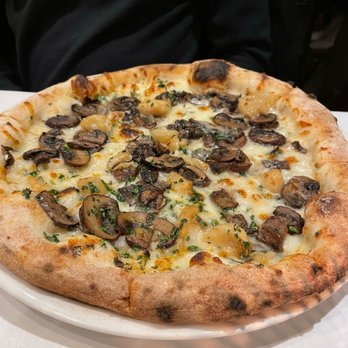 Centonove - Italian Near Me - Los Gatos, California Centonove - Italian Near Me - Los Gatos, California