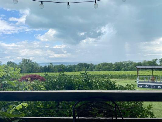 Buttonwood Grove Winery by null