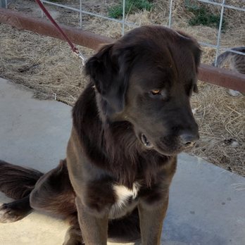 Dusty Dog Soap & Spa - Pet Groomers Near Me - Galt, California Dusty Dog Soap & Spa - Pet Groomers Near Me - Galt, California