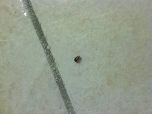 Whispering Isles Apartments