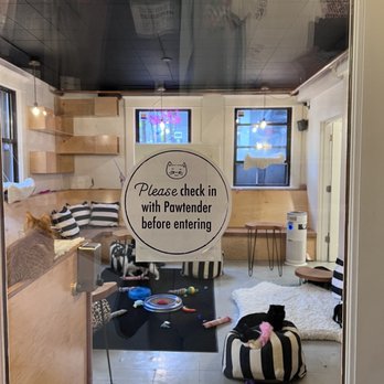 NEKO: A Cat Cafe - Themed Cafes Near Me - Seattle, Washington