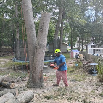 Curtis Bivins Pro Services - The last piece.. yeah!! - Tree Services Near Me