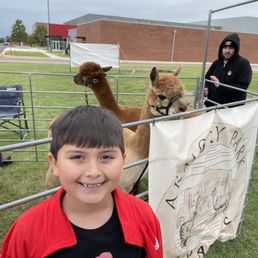 Alpacas and lamas!