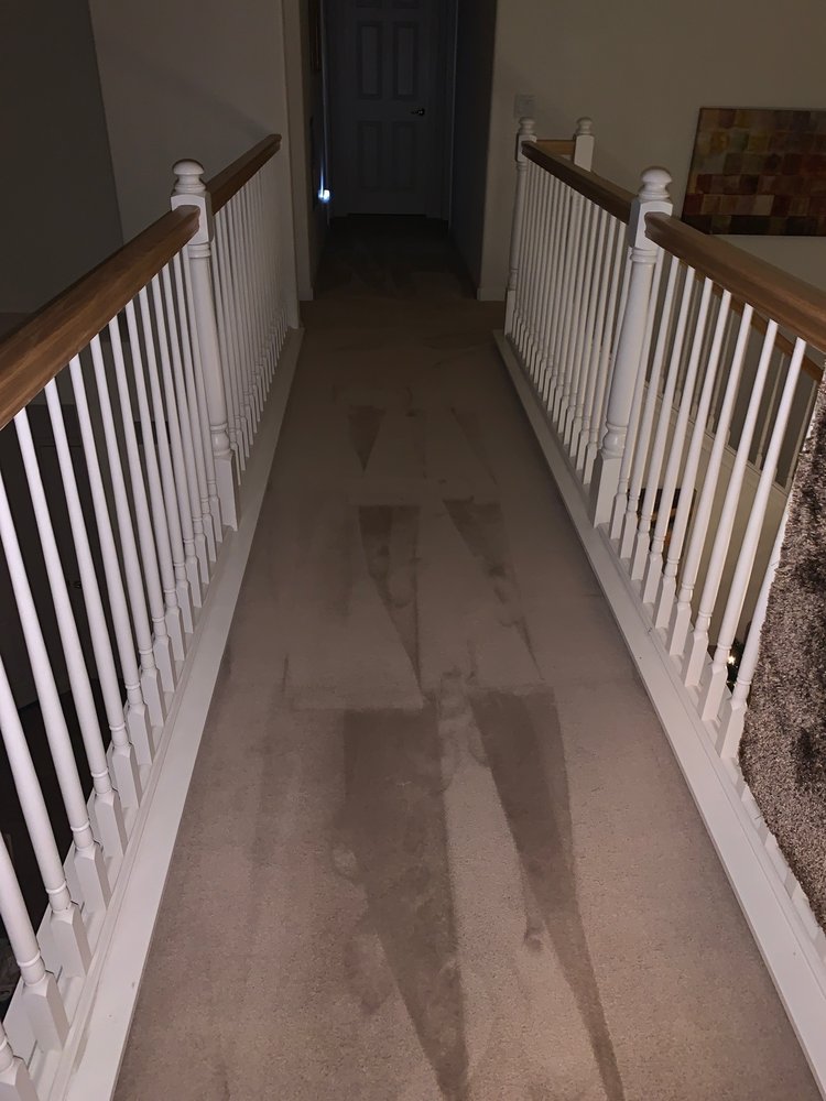 NORTH COUNTY CARPET & UPHOLSTERY CLEANERS Updated September 2024 25