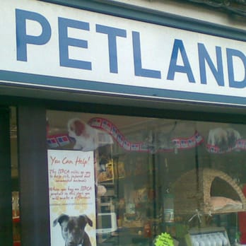 Petland - Pet Stores Near Me - Blackrock, D