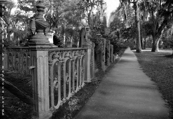 Bonaventure, Historic Savannah, Low Country & Private with Shannon Scott Tours by null