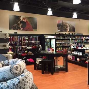 Bosley's - Pet Adoption Near Me - Abbotsford, British Columbia Bosley's - Pet Adoption Near Me - Abbotsford, British Columbia