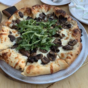 Belly Left Coast Kitchen & Taproom - Wild Mushroom Truffle Pizza 4.89979 stars! - New American Near Me - Santa Rosa, California Belly Left Coast Kitchen & Taproom - Wild Mushroom Truffle Pizza 4.89979 stars! - New American Near Me - Santa Rosa, California