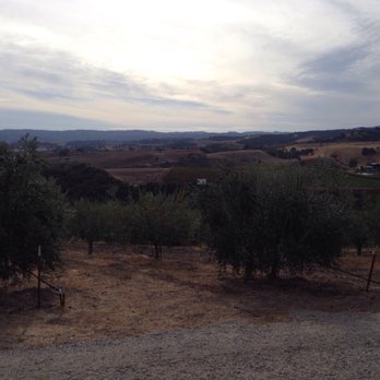 Kiler Ridge Olive Oil - Beautiful views! - Olive Oil Near Me - Paso Robles, California Kiler Ridge Olive Oil - Beautiful views! - Olive Oil Near Me - Paso Robles, California