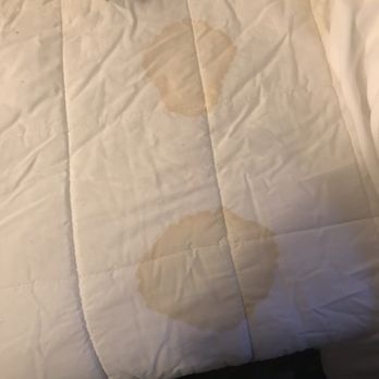 Grey Squirrel Resort & Vacation Rental Homes - Stained bed and pillows. - Big Bear Lake, CA