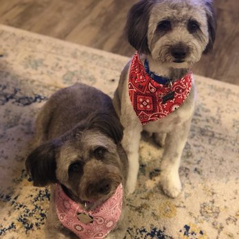 Johnny's Doghouse - Pet Groomers Near Me - Tempe, Arizona