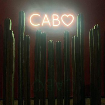 Lit Adventures - Cabo Mexico - Travel Agents Near Me Lit Adventures - Cabo Mexico - Travel Agents Near Me