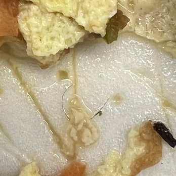 Thousand Oaks Café - I ordered a veggie omelette, ate half of it and found a hair at the bottom, disgusting! - Mexican Near Me - San Antonio, Texas Thousand Oaks Café - I ordered a veggie omelette, ate half of it and found a hair at the bottom, disgusting! - Mexican Near Me - San Antonio, Texas