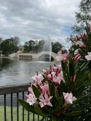 Louis Armstrong Park by null
