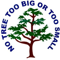 Matt's Maintenance Tree Service