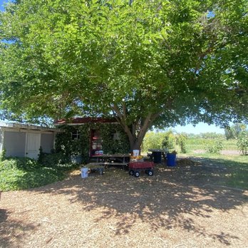 Summerset Farm - Farmers Market Near Me - Santa Ynez, California Summerset Farm - Farmers Market Near Me - Santa Ynez, California