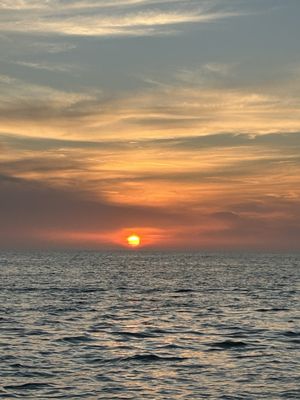 Little Toot Dolphin Adventure by null