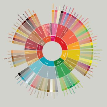 Rustic Roastery - SCA Flavor Wheel - Coffee Roasteries Near Me - Galva, Kansas