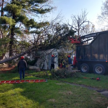 Soppa's Tree Service - Tree Services Near Me - Rockford, Illinois