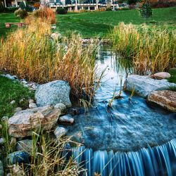 Lake Valley Golf Club - Lake Valley Golf Club - Niwot, Colorado