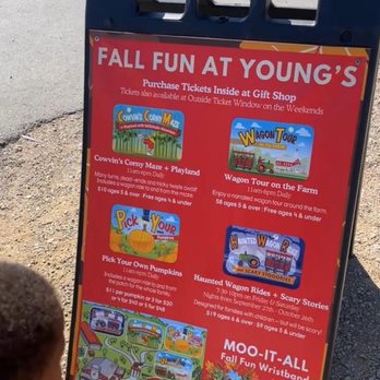 Young's Jersey Dairy - Fall Activity List - Ice Cream & Frozen Yogurt Near Me - Yellow Springs, Ohio Young's Jersey Dairy - Fall Activity List - Ice Cream & Frozen Yogurt Near Me - Yellow Springs, Ohio