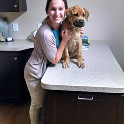 Hunter PetCare