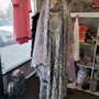 Photo of Ruhana Boutique