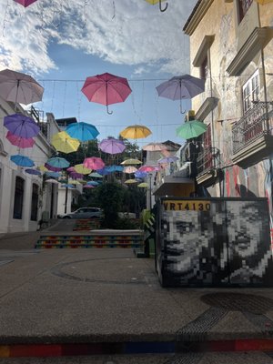 Planeta Vegetariano by null