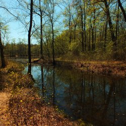 A view within Patuxent Ponds Park.