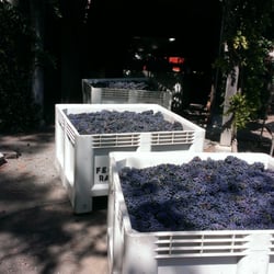 Fellom Ranch