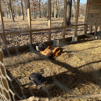 The Union Exchange - Chickens - Venues & Event Spaces Near Me - Monroe, North Carolina