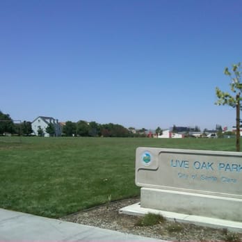 Live Oak Park - Uhh. I dont know about you but I dont see any fucking oaks in this park. #FalseAdvertising - Parks Near Me - Santa Clara, California