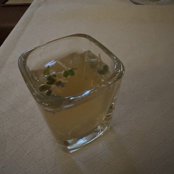 The Carillon - Kombucha Amuse Bouche - New American Near Me - Austin, Texas The Carillon - Kombucha Amuse Bouche - New American Near Me - Austin, Texas