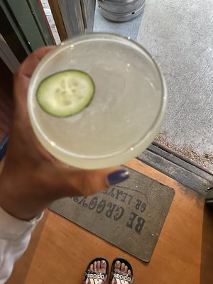 Sunny's Backyard by null