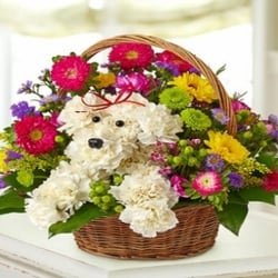 Muffy's Flowers & Gifts - Petal Puppy Bouquet www.muffysflowers.com