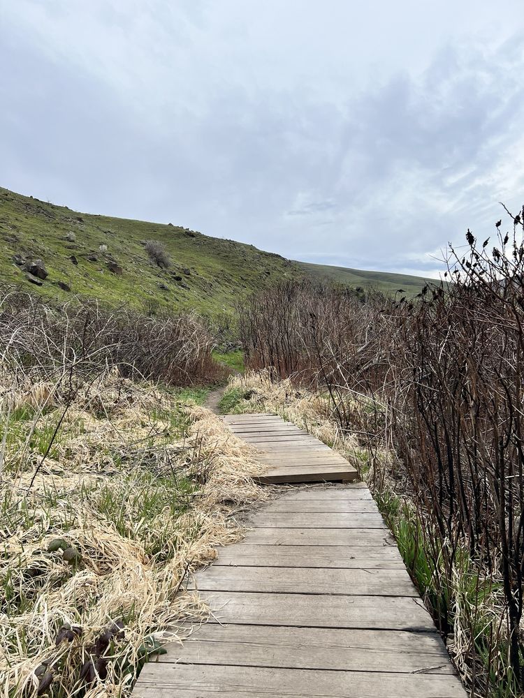 Deschutes River State Recreation Area Logo