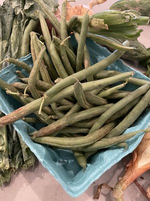 Garden of Eve Organic Farm by null