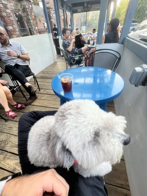 Dolly's Swing and Dive by null