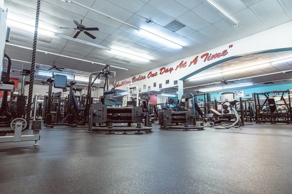 The Body Factory Health & Fitness Center by null